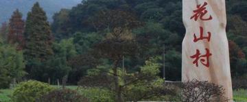 花山村-云南省昭通市巧家县金塘乡下辖村