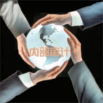 内部审计-中国普通高等学校本科专业