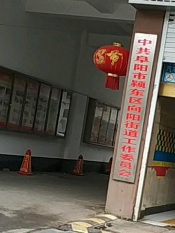 向阳街道-安徽省阜阳市向阳街道