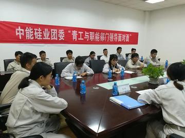 江苏中能硅业科技发展有限公司-中国高纯多晶硅生产企业
