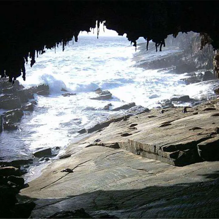 袋鼠岛