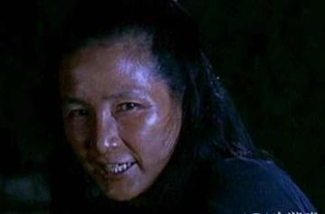 碧眼狐狸-小说《卧虎藏龙》中角色