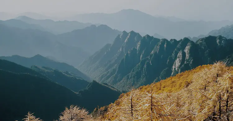 农夫山泉股份有限公司