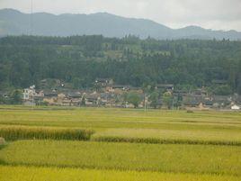 谢家营村