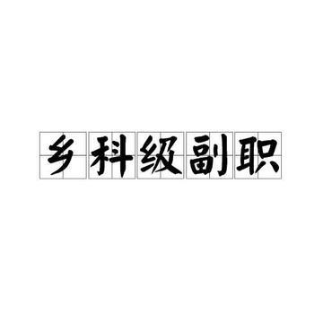 乡科级副职-公务员级别