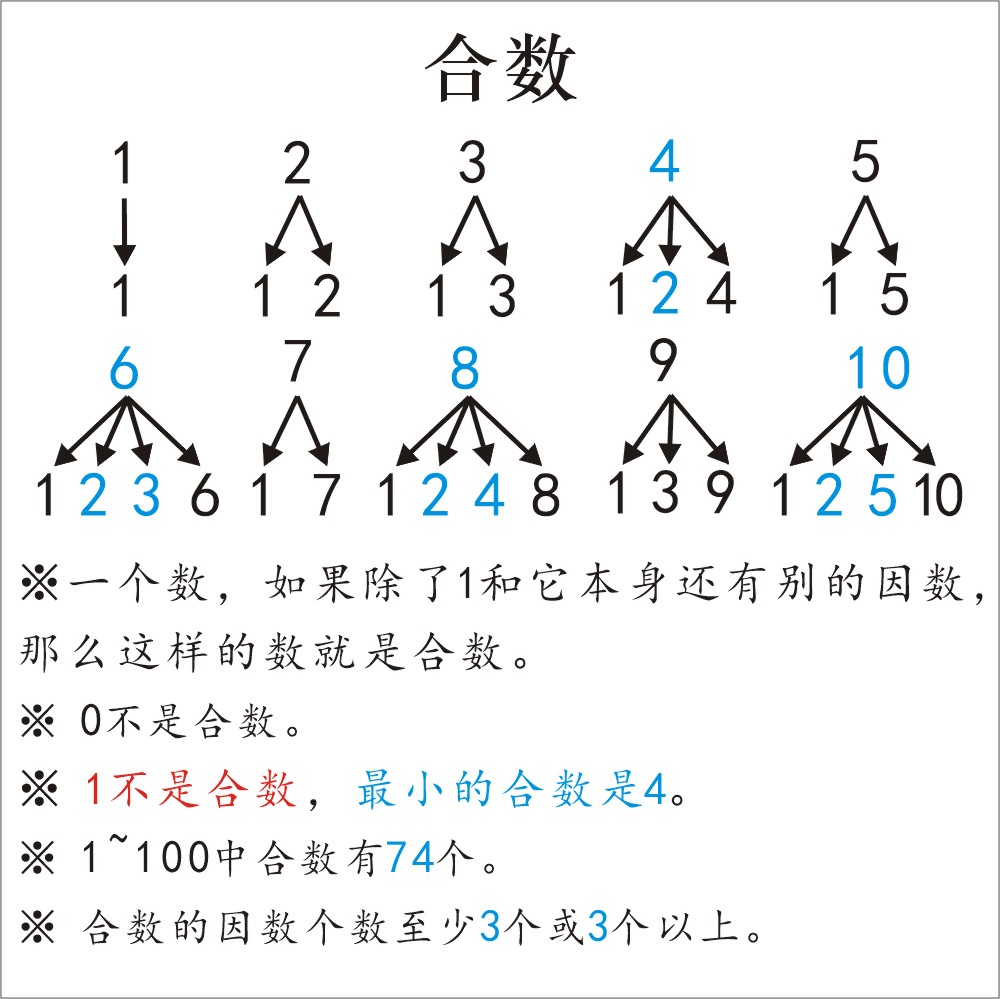 合数- 抖音百科
