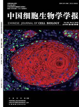 中国细胞生物学学报-中国细胞生物学学报