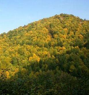 宿山-沂水县西北境内最出名的山