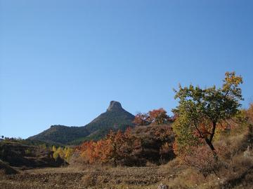 金花山-位于凌源市乌兰白镇哈叭气村