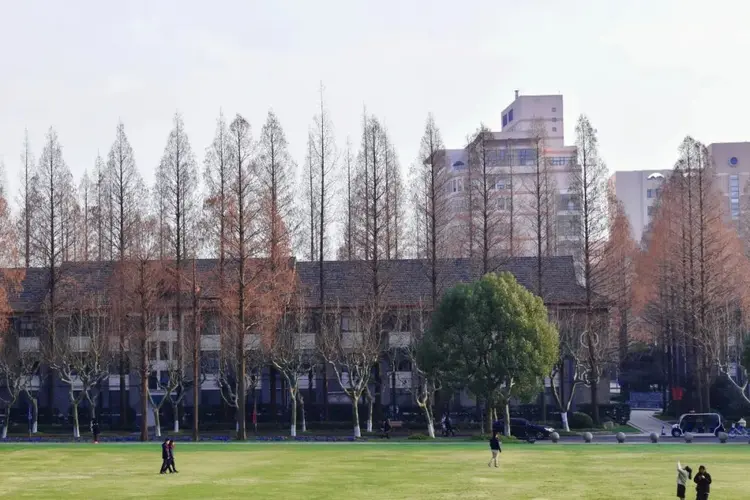 复旦大学