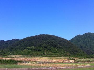 朝山-风水学中的术语