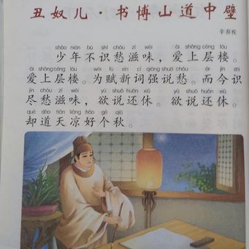 丑奴儿-词牌名
