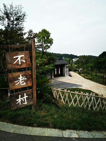 不老村