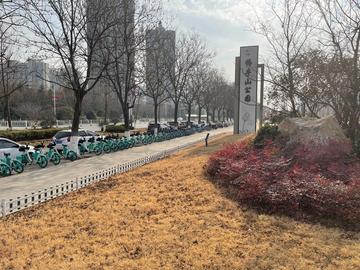 大学路-徐州市大学路