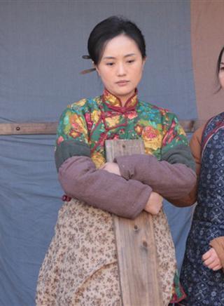 人活一句话-2011年辛柏青等主演的电视剧
