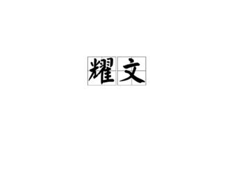 耀文-2015年成立的公司