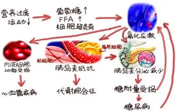 氧化应激