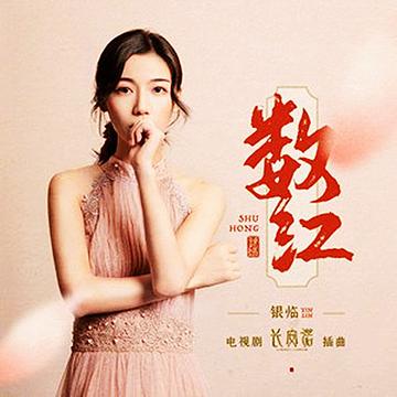数红-数红