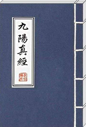 峨嵋九阳功-小说《倚天屠龙记》中的武功