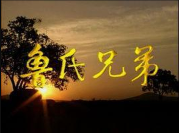 鲁氏兄弟-1996年王新军等主演电视剧