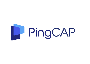 PingCAP-中国以互联网技术服务有限公司