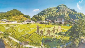 南斗村-福建省泉州市德化县国宝乡下辖村