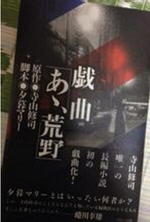啊，荒野-寺山修司著长篇小说