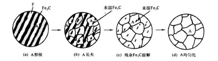 奥氏体