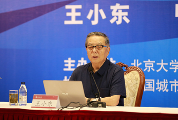 王小东