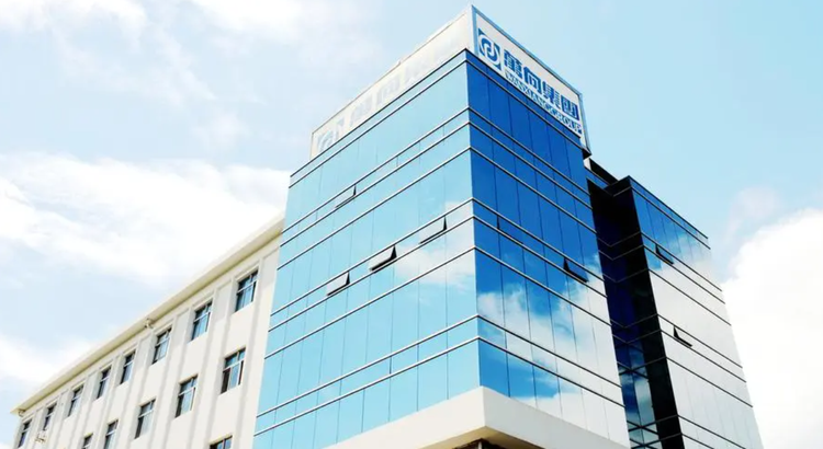 万向德农（600371）涨停分析：技术性反弹还是资金炒作？