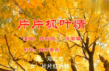 片片枫叶情-1991年张智霖、许秋怡演唱的流行歌曲