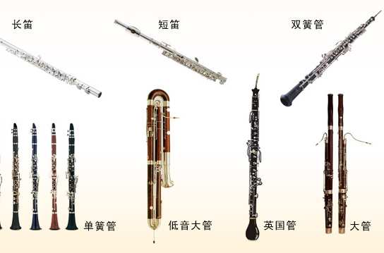 尺八　木管　1尺9寸　蝴蝶 日本进口蝴蝶宝尺八尺六/一尺八寸/一尺六寸/日本尺八