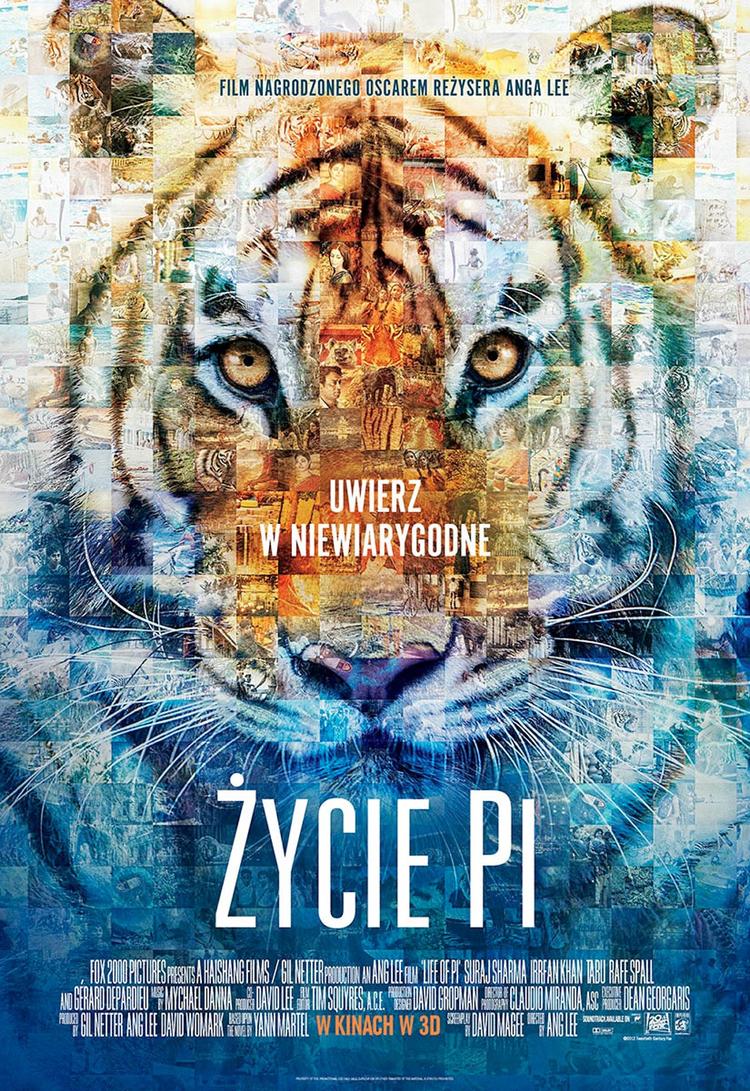 少年派的奇幻漂流- 抖音百科