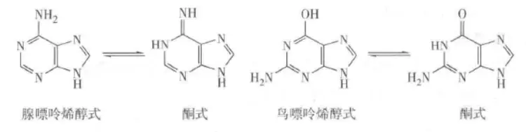 嘌呤