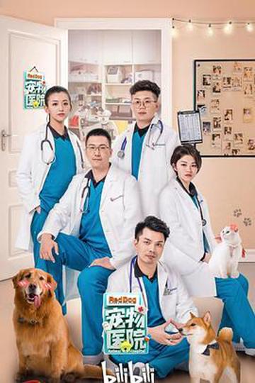宠物医院-2008年章乐斌执导电视剧