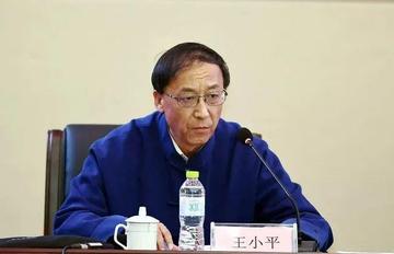 王小平