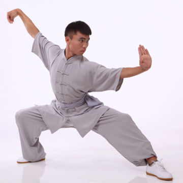 龙拳-武术拳法之一