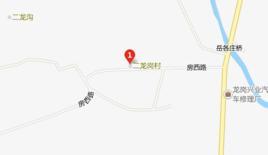 二龙岗村