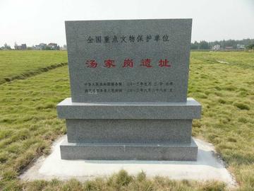汤家岗遗址