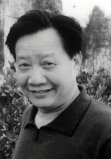 陈有才