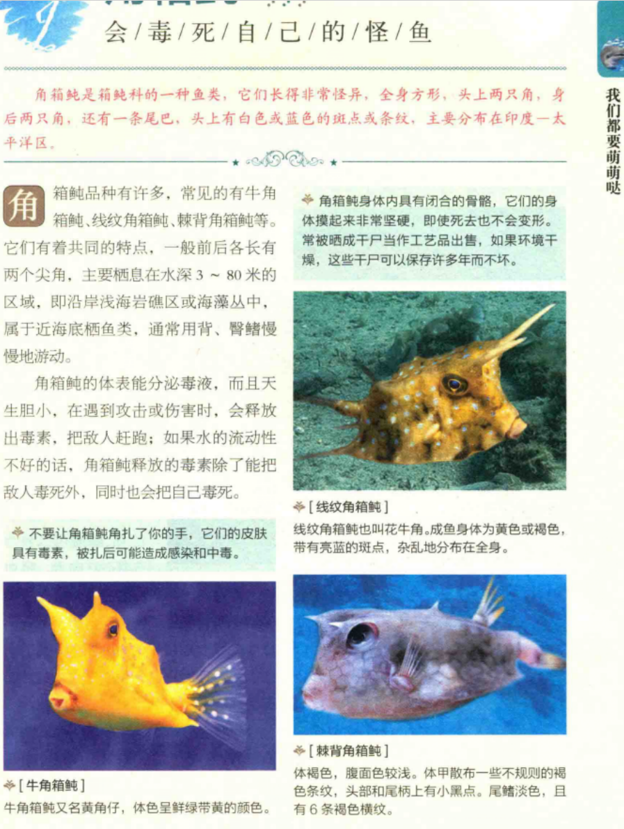 长角牛鱼现在单独在一个鱼缸里。 想知道能不能再加别的鱼进去。 大部分网站都警告说，它们可能会因为有毒而把其他鱼弄死。  想知道有没有人也养着这种鱼，还养了别的鱼？ : r/aquarium, image size:897x1191