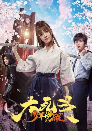 大乱斗之少年觉醒-2017年赵诚宇主演的网络电影