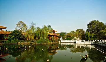 青山公园-石嘴山市公园