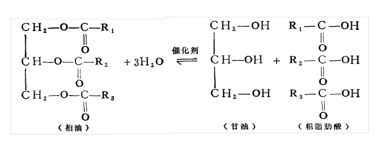 软脂酸