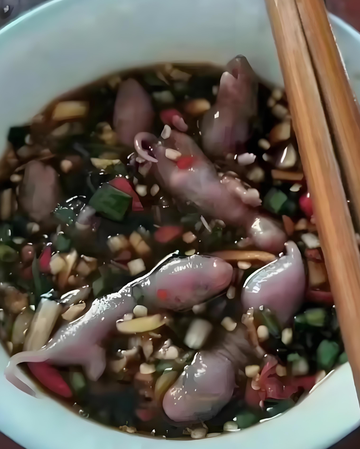 三吱儿-快懂百科