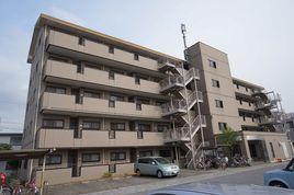 秀明大学-1998年建立的日本综合大学