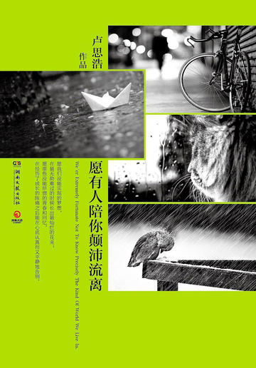 愿有人陪你颠沛流离-卢思浩创作的文学类书籍