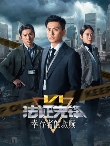法证先锋VI-2023年钟澍佳执导的电视剧