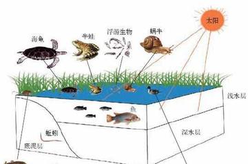 环境自净能力-环境自净能力