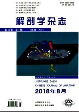 解剖学杂志-解剖学杂志